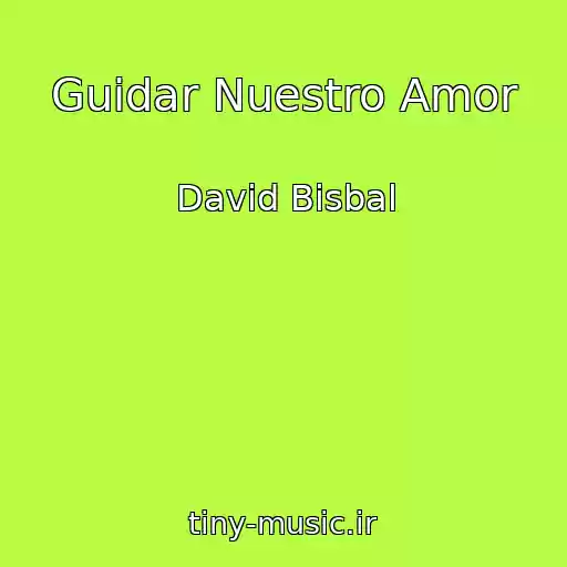 کاور آهنگ Guidar Nuestro Amor از David Bisbal