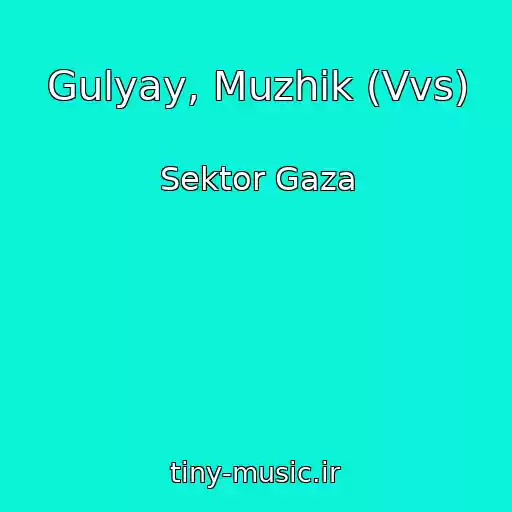 کاور آهنگ Gulyay, Muzhik (Vvs) از Sektor Gaza
