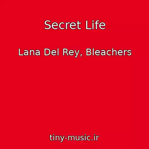 کاور آهنگ Secret Life از Lana Del Rey, Bleachers