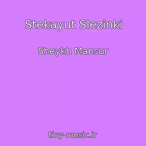 کاور آهنگ Stekayut Slezinki از Sheykh Mansur
