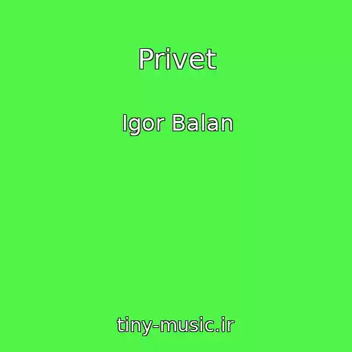 کاور آهنگ Privet از Igor Balan