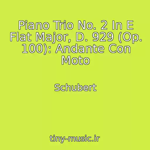 کاور آهنگ Piano Trio No. 2 In E Flat Major, D. 929 (Op. 100): Andante Con Moto از Schubert