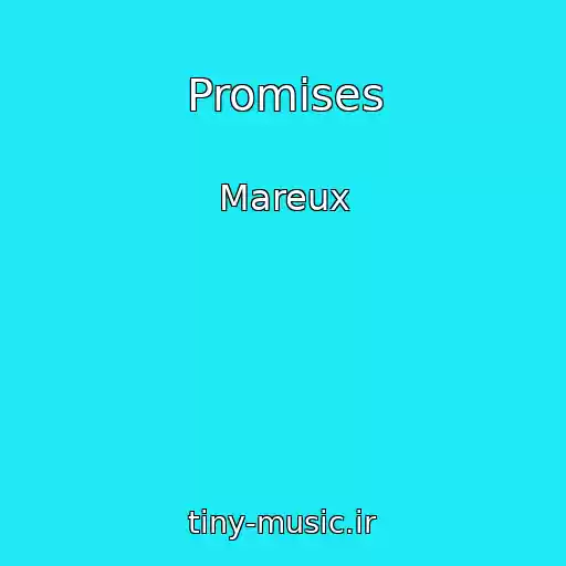 کاور آهنگ Promises از Mareux