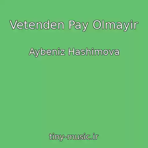 کاور آهنگ Vetenden Pay Olmayir از Aybeniz Hashimova