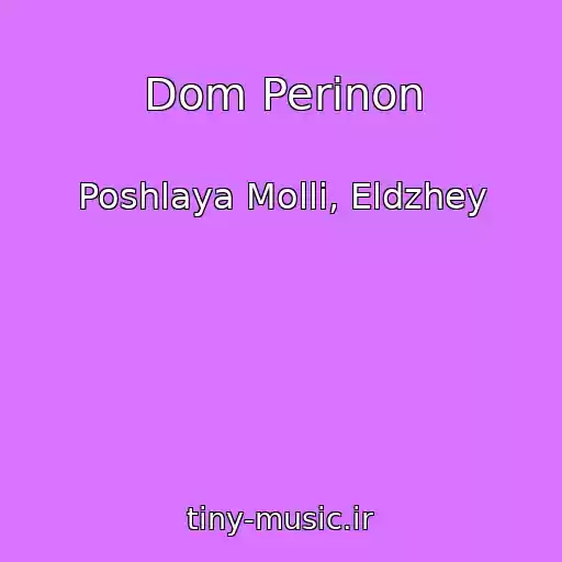 کاور آهنگ Dom Perinon از Poshlaya Molli, Eldzhey