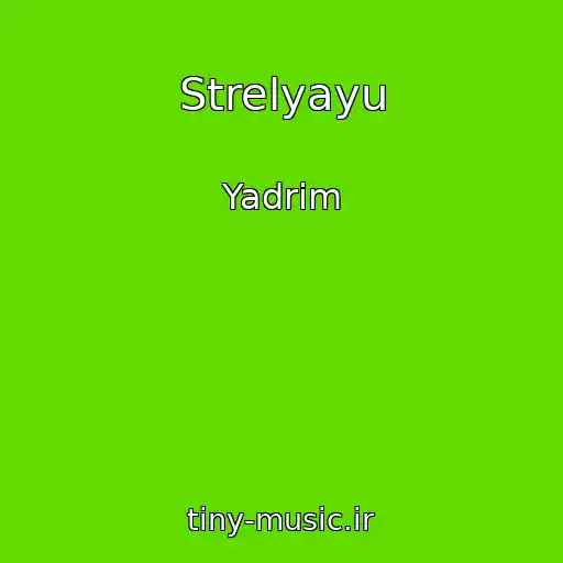 کاور آهنگ Strelyayu از Yadrim