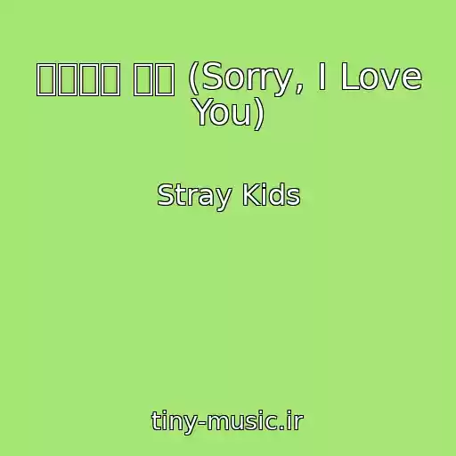 کاور آهنگ 좋아해서 미안 (Sorry, I Love You) از Stray Kids