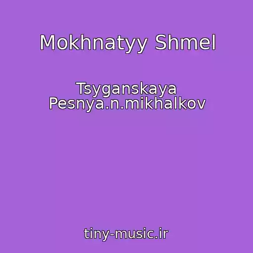 کاور آهنگ Mokhnatyy Shmel از Tsyganskaya Pesnya.n.mikhalkov