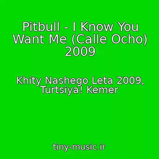 کاور آهنگ Pitbull - I Know You Want Me (Calle Ocho) 2009 از Khity Nashego Leta 2009, Turtsiya! Kemer