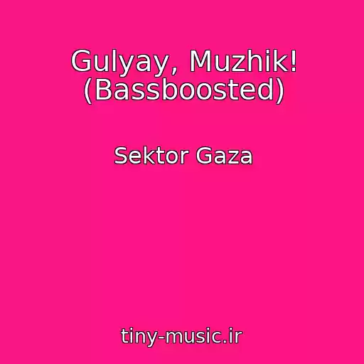 کاور آهنگ Gulyay, Muzhik! (Bassboosted) از Sektor Gaza