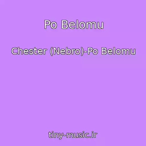کاور آهنگ Po Belomu از Chester (Nebro)-Po Belomu