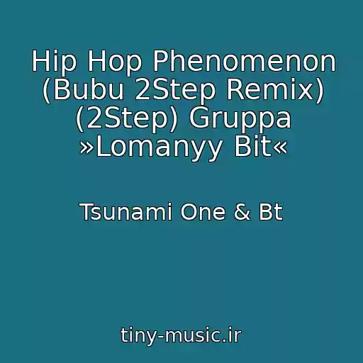 کاور آهنگ Hip Hop Phenomenon (Bubu 2Step Remix) (2Step) Gruppa »Lomanyy Bit« از Tsunami One & Bt
