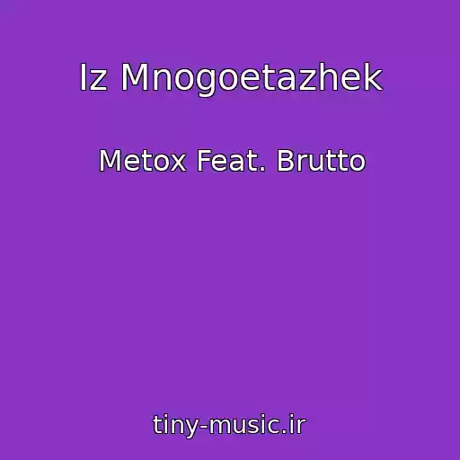 کاور آهنگ Iz Mnogoetazhek از Metox Feat. Brutto