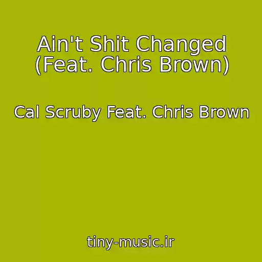 کاور آهنگ Ain't Shit Changed (Feat. Chris Brown) از Cal Scruby Feat. Chris Brown
