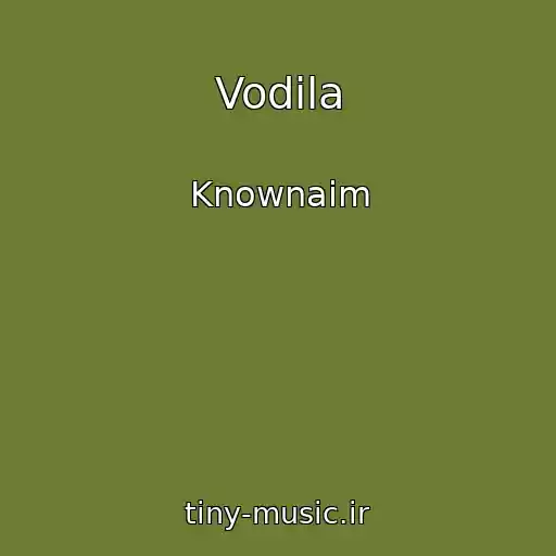 کاور آهنگ Vodila از Knownaim