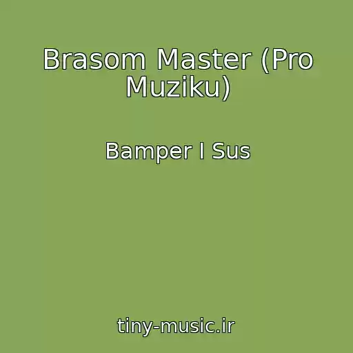کاور آهنگ Brasom Master (Pro Muziku) از Bamper І Sus