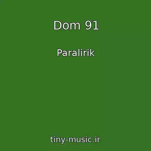 کاور آهنگ Dom 91 از Paralirik