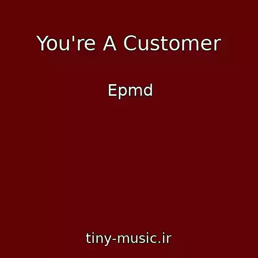 کاور آهنگ You're A Customer از Epmd