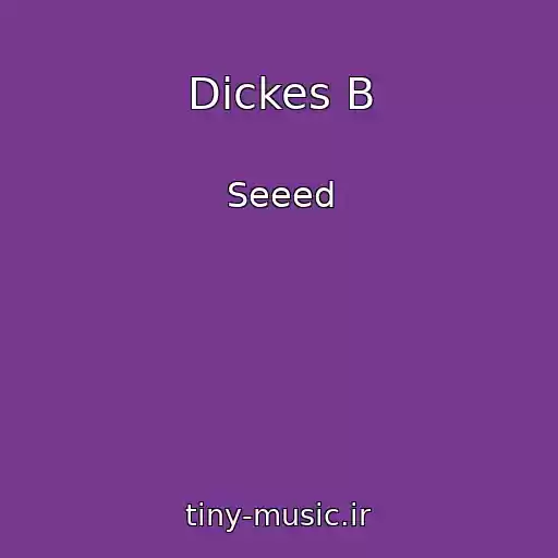 کاور آهنگ Dickes B از Seeed