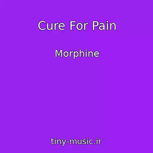 کاور آهنگ Cure For Pain از Morphine