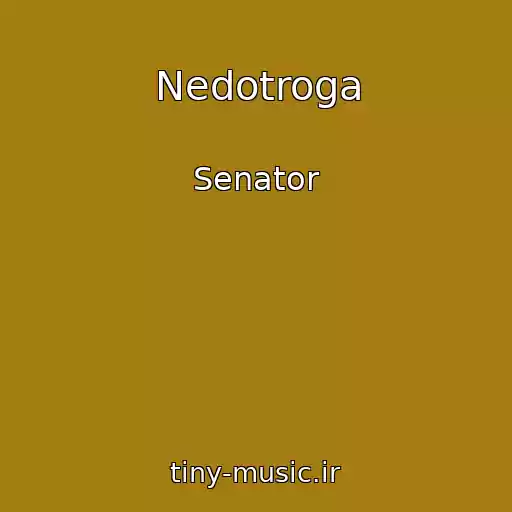 کاور آهنگ Nedotroga از Senator