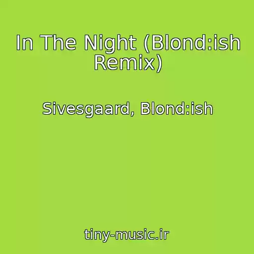 کاور آهنگ In The Night (Blond:ish Remix) از Sivesgaard, Blond:ish