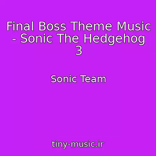 کاور آهنگ Final Boss Theme Music - Sonic The Hedgehog 3 از Sonic Team