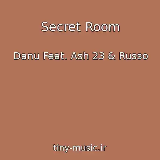 کاور آهنگ Secret Room از Danu Feat. Ash 23 & Russo