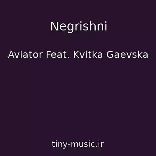 کاور آهنگ Negrіshnі از Aviator Feat. Kvitka Gaevska