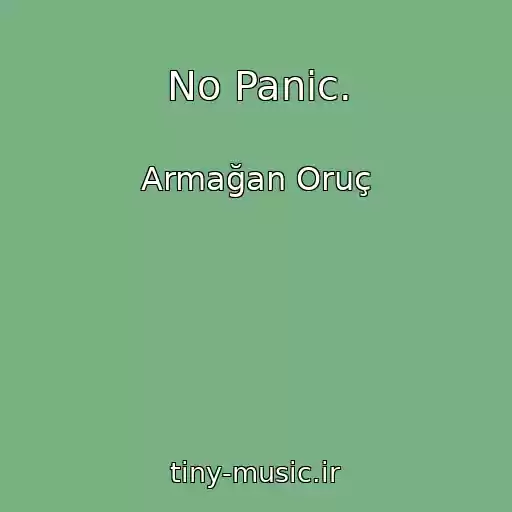 کاور آهنگ No Panic. از Armağan Oruç