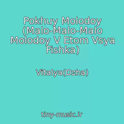 کاور آهنگ Pokhuy Molodoy (Malo-Malo-Malo Molodoy V Etom Vsya Fishka) از Vitalya(Dzha)