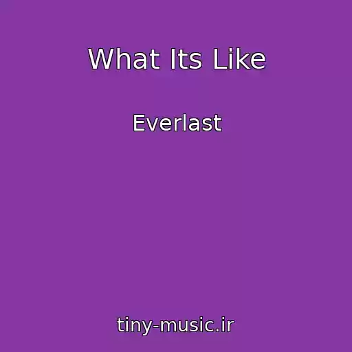 کاور آهنگ What Its Like از Everlast