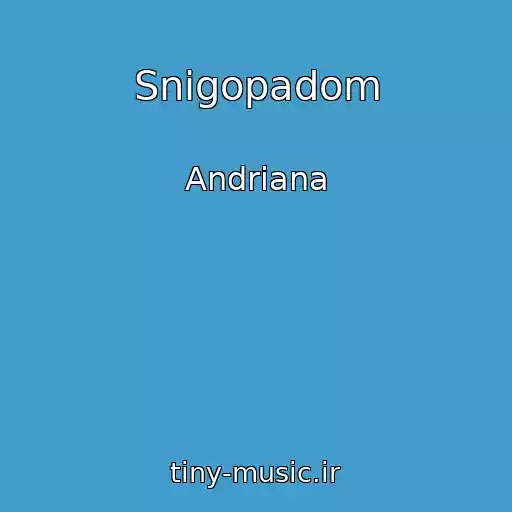 کاور آهنگ Snіgopadom از Andrіana