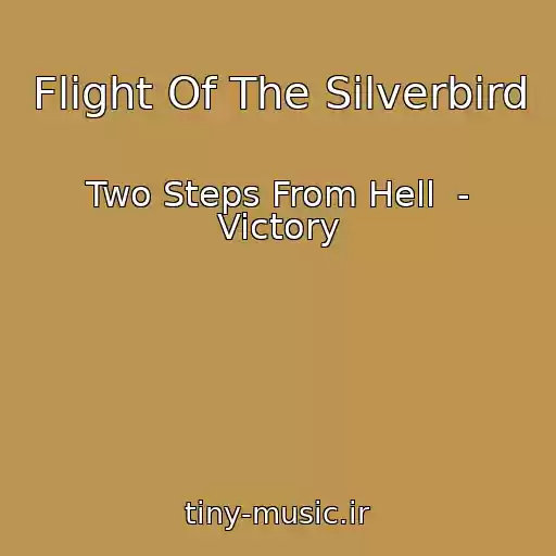 کاور آهنگ Flight Of The Silverbird از Two Steps From Hell  - Victory