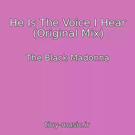 کاور آهنگ He Is The Voice I Hear (Original Mix) از The Black Madonna