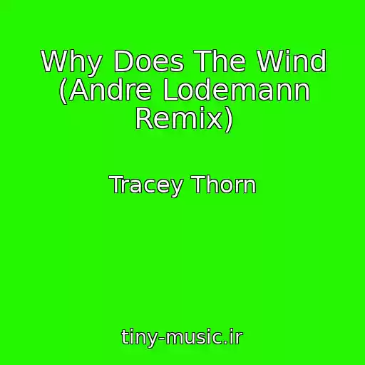 کاور آهنگ Why Does The Wind (Andre Lodemann Remix) از Tracey Thorn