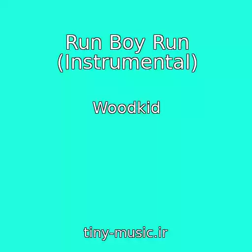 کاور آهنگ Run Boy Run (Instrumental) از Woodkid