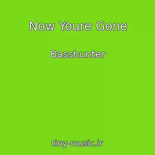 کاور آهنگ Now Youre Gone از Basshunter