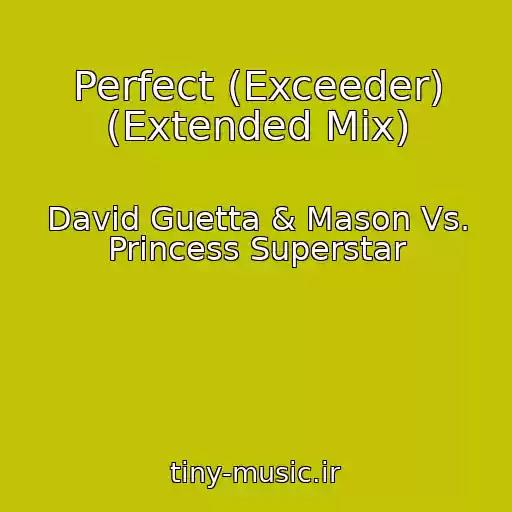 کاور آهنگ Perfect (Exceeder) (Extended Mix) از David Guetta & Mason Vs. Princess Superstar