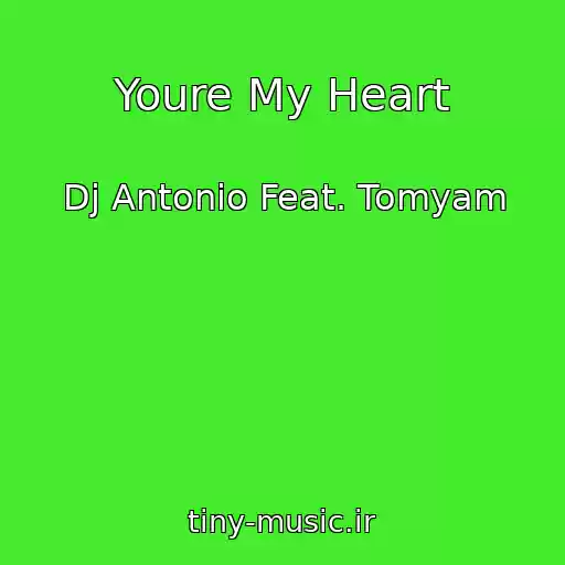 کاور آهنگ Youre My Heart از Dj Antonio Feat. Tomyam