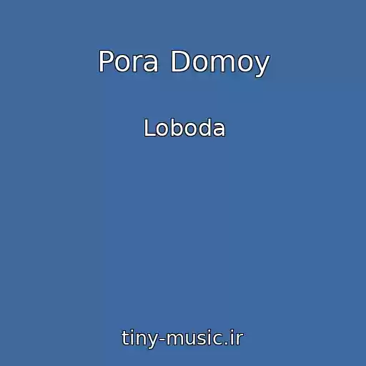 کاور آهنگ Pora Domoy از Loboda