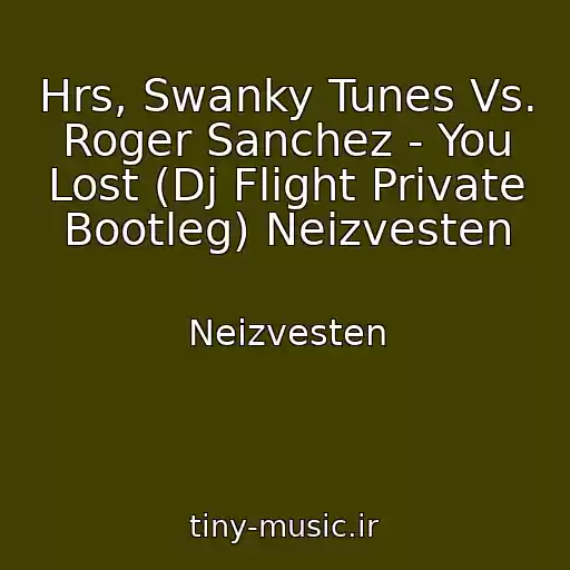 کاور آهنگ Hrs, Swanky Tunes Vs. Roger Sanchez - You Lost (Dj Flight Private Bootleg) Neizvesten از Neizvesten