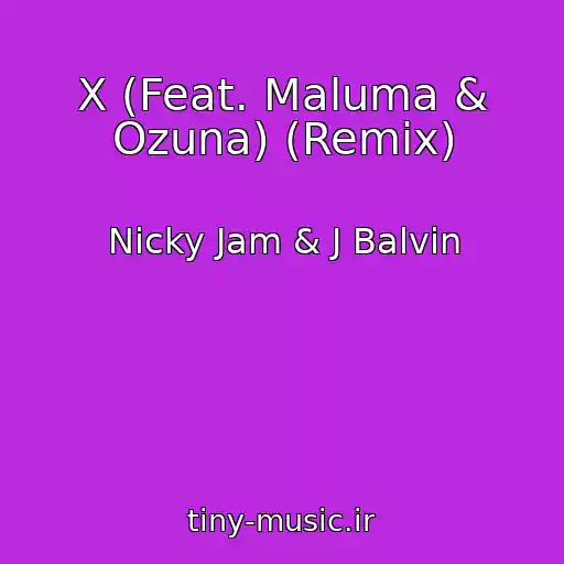کاور آهنگ X (Feat. Maluma & Ozuna) (Remix) از Nicky Jam & J Balvin