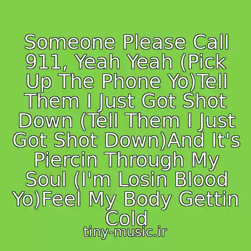کاور آهنگ Someone Please Call 911, Yeah Yeah (Pick Up The Phone Yo)Tell Them I Just Got Shot Down (Tell Them I Just Got Shot Down)And It's Piercin Through My Soul (I'm Losin Blood Yo)Feel My Body Gettin Cold از Wyclef Jean (Feat Mary J Blige)