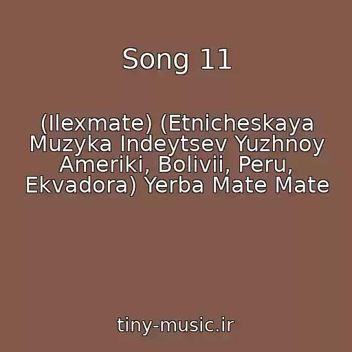 کاور آهنگ Song 11 از (Ilexmate) (Etnicheskaya Muzyka Indeytsev Yuzhnoy Ameriki, Bolivii, Peru, Ekvadora) Yerba Mate Mate