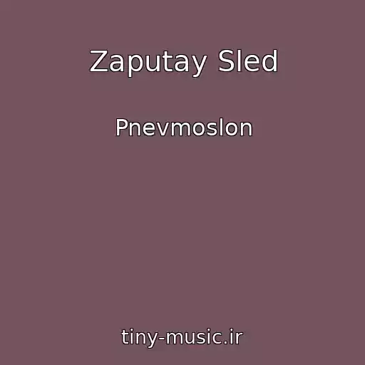 کاور آهنگ Zaputay Sled از Pnevmoslon