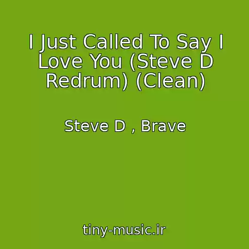کاور آهنگ I Just Called To Say I Love You (Steve D Redrum) (Clean) از Steve D , Brave