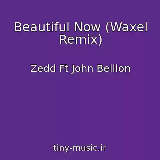 کاور آهنگ Beautiful Now (Waxel Remix) از Zedd Ft John Bellion