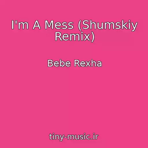 کاور آهنگ I'm A Mess (Shumskiy Remix) از Bebe Rexha