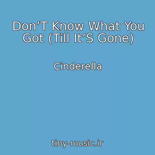 کاور آهنگ Don’T Know What You Got (Till It’S Gone) از Cinderella